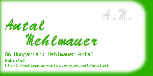 antal mehlmauer business card